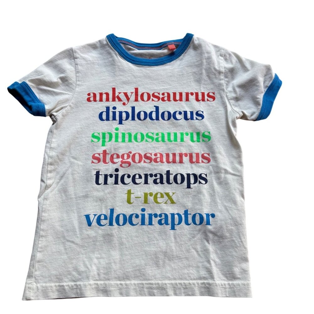 Mini Boden 4/5 T-Shirt